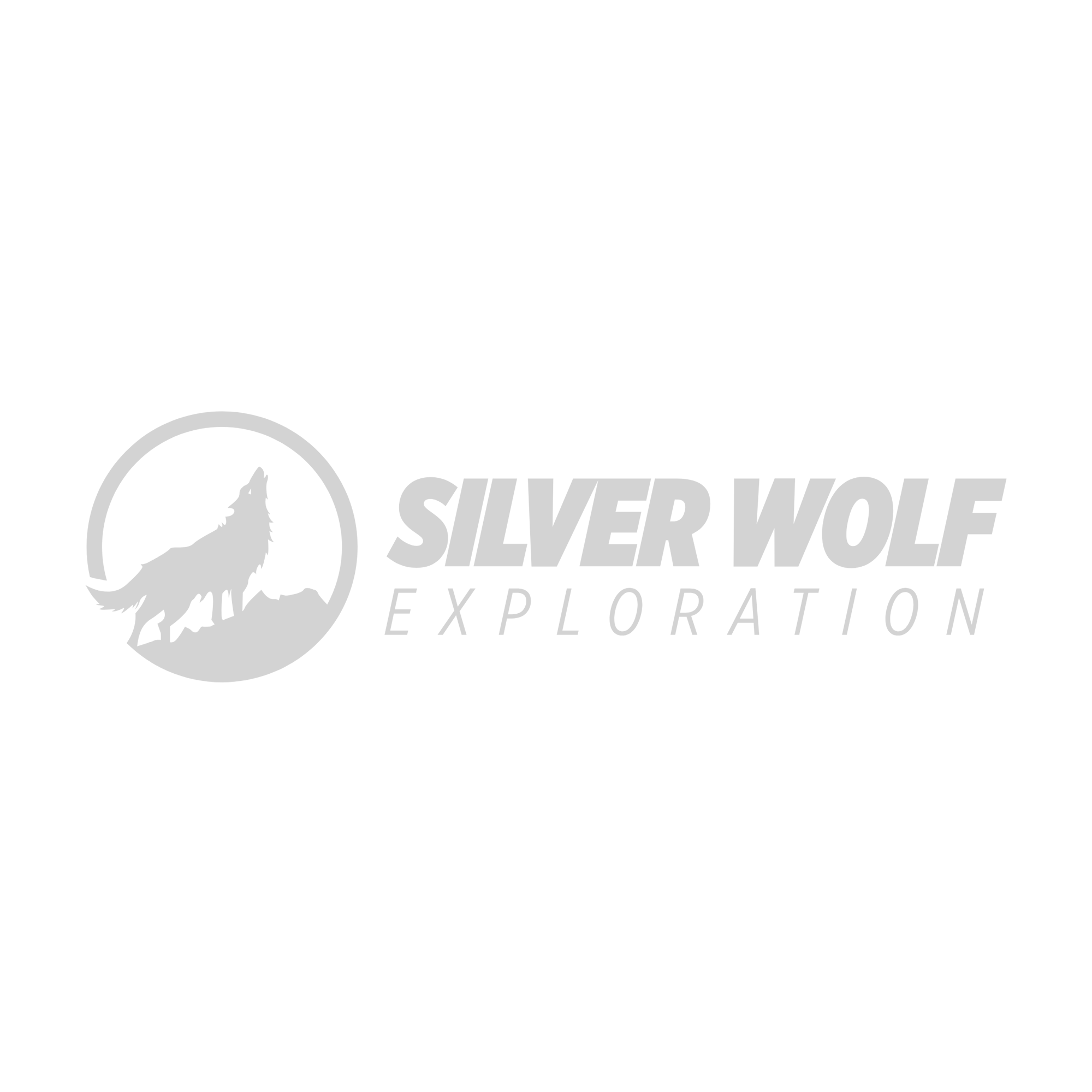SilverWolf